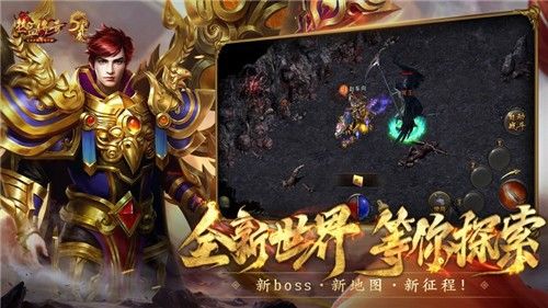 新开传奇185之私服传奇怎么关闭自动拾取